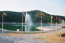 FLAGSsmall.JPG